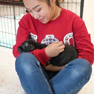 Meet your Posher, Peiyuan